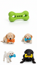 Lime Green Chewable Toy
